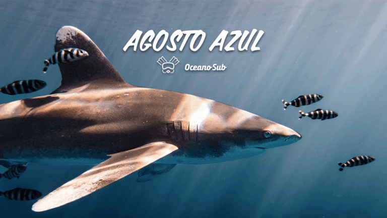 Agosto Azul - OceanoSub