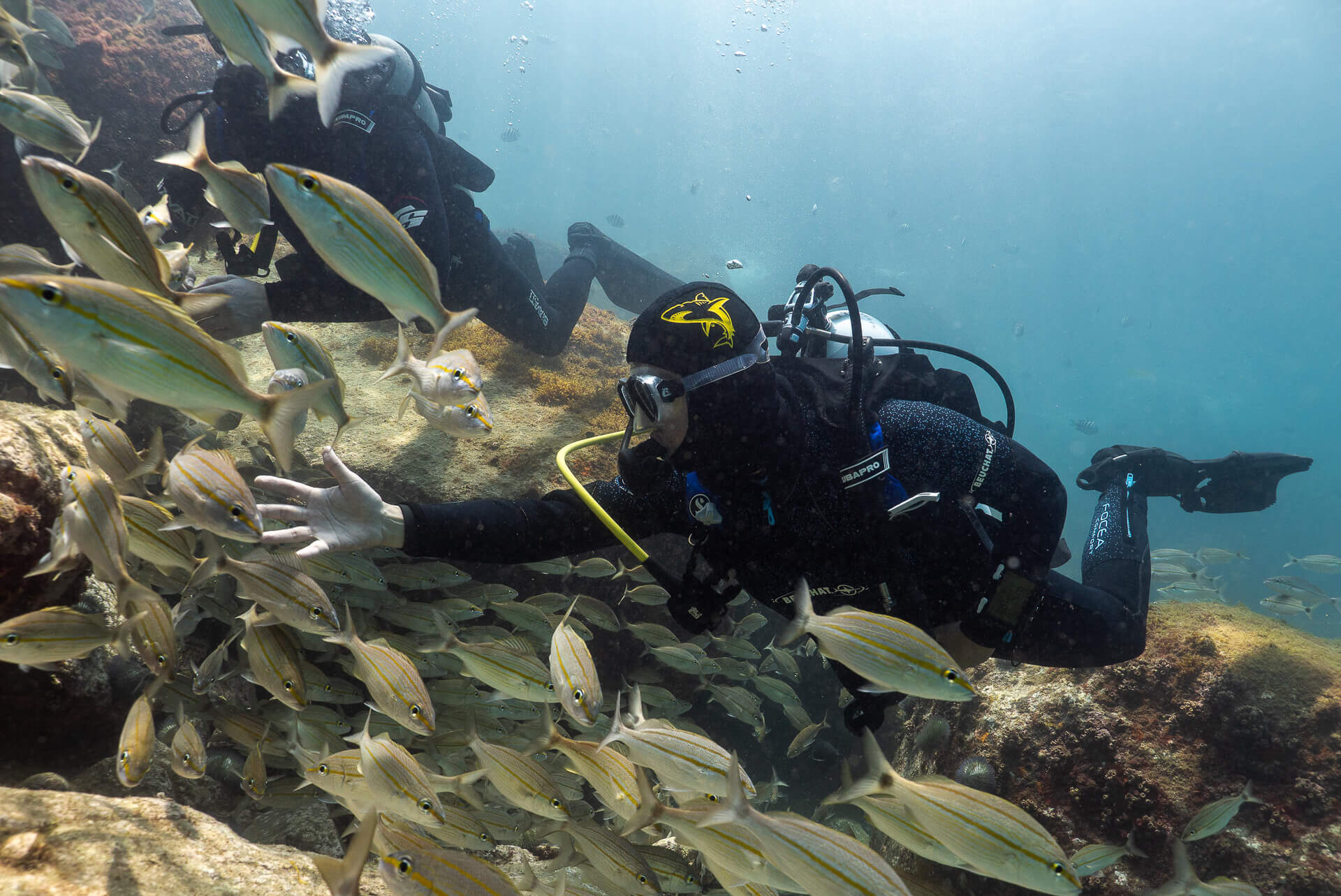 oceanosub-site-2025-011