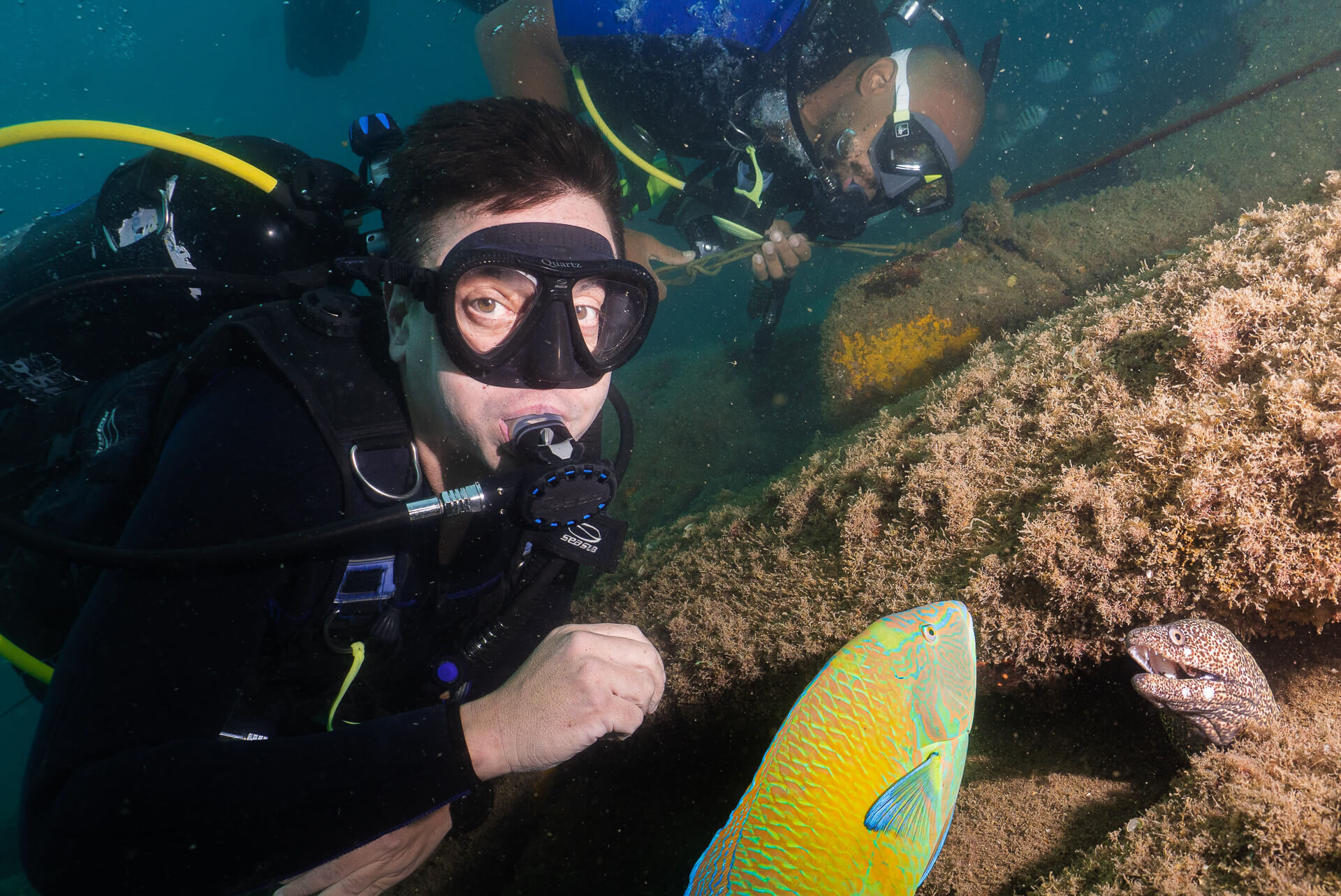 oceanosub-site-2025-110