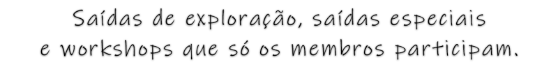 txt saida especial